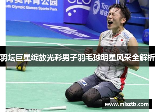 羽坛巨星绽放光彩男子羽毛球明星风采全解析