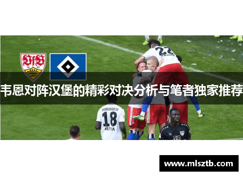 韦恩对阵汉堡的精彩对决分析与笔者独家推荐